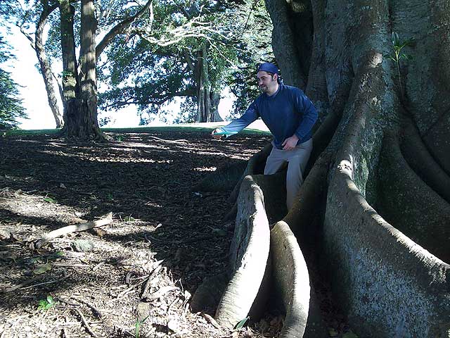 Disc Golf New Zealand